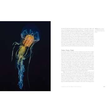 The World Beneath: Explore Unknown Sea Creatures