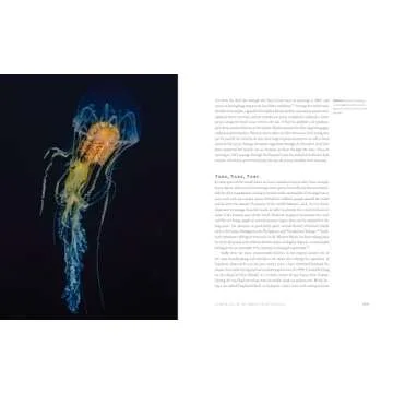 The World Beneath: Explore Unknown Sea Creatures