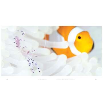 The World Beneath: Explore Unknown Sea Creatures