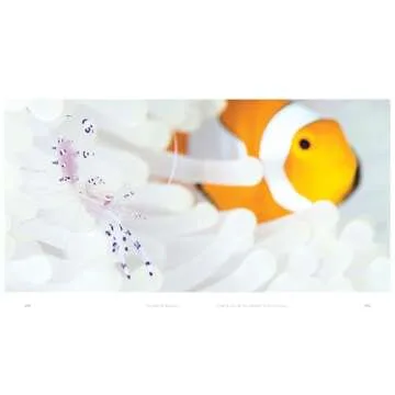 The World Beneath: Explore Unknown Sea Creatures