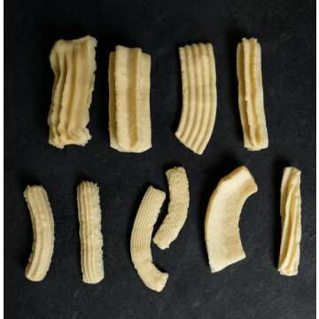 San Diablo Artisan Churros - Gourmet Kitchen Gadget w/hollow nozzle for filled churros + 8 other nozzles + FREE e-book of recipes from top chefs and foodies