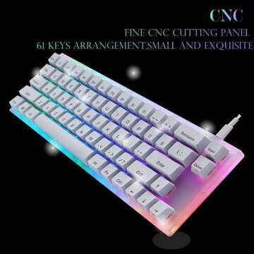 Womier K66 60% Keyboard - Mechanical Keyboard, Hot Swappable Wired RGB Backlit Keyboard, Gateron Switch Acrylic Gaming Keyboard for PC PS4 Xbox, Blue Switches