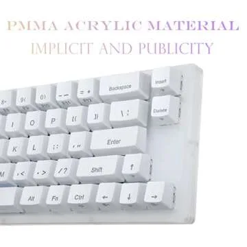 Womier K66 60% Keyboard - Mechanical Keyboard, Hot Swappable Wired RGB Backlit Keyboard, Gateron Switch Acrylic Gaming Keyboard for PC PS4 Xbox, Blue Switches