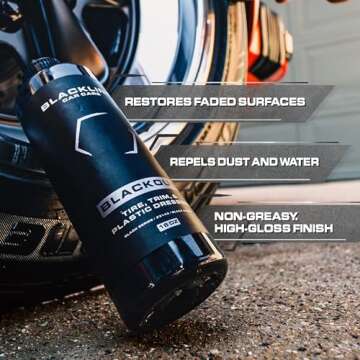 Blackline Car Care - Blackout Trim and Tire Dressing for Plastic, Rubber, Vinyl, and Tires Safe for ...