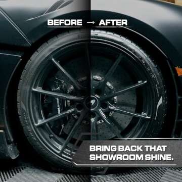 Restore Your Vehicle with Blackline Trim & Tire Dressing