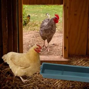 GANAZONO 3pcs No Mess Quail Feeder Removable Hanging Chicken Feeder Trough Water Trough for Pigeon Parrots Chicks Quail Duck Bird Poultry Animal