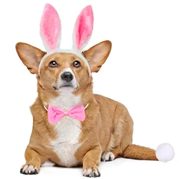 Delightful Dog Bunny Costume Set with Bowtie and Ears