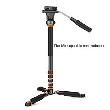 Bestshoot Mini Tripod for DSLR Cameras and More