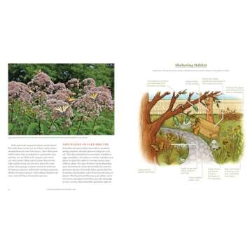 Gardening for Butterflies: How You Can Attract and Protect Beautiful, Beneficial Insects