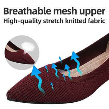 Semwiss Women's Low Heel Classic Pumps Pointed Toe Kitten Heels Shoes，Comfortable Casual Pumps for Women Dressy Wine Red