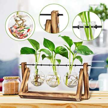 Waytoeast Plant Propagation Stations, Desktop Air Terrarium with Wooden Stand Planters Glass for Hyd...