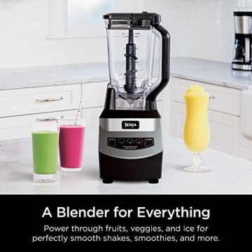 Ninja 1000-Watt Blender for Smoothies & Frozen Drinks