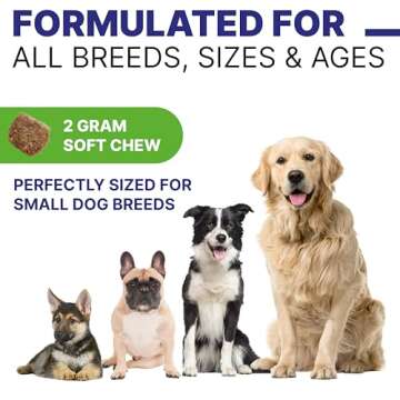 Pawsential Advanced Dog Probiotics & Digestive Enzymes |Gut Health| Chews for Digestion, Allergy Yeast, Itchy Skin- Prebiotics Fiber Supplement - Diarrhea Gas Upset Stomach Relief Treats - 120 Chews