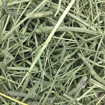 Oxbow Animal Health Western Timothy Hay - All Natural Hay for Rabbits, Guinea Pigs, Chinchillas, Hamsters & Gerbils- Made in the USA- Fiber Rich- Veterinarian Recommended - 25 lb. Bulk Size