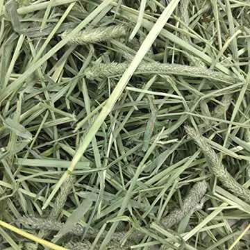 Oxbow Animal Health Western Timothy Hay - All Natural Hay for Rabbits, Guinea Pigs, Chinchillas, Hamsters & Gerbils- Made in the USA- Fiber Rich- Veterinarian Recommended - 25 lb. Bulk Size
