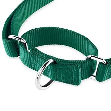 Hyhug Martingale Dog Collar Without Buckle: Anti Escape, No Slip Heavy - Duty Nylon, Colorfast & Adjustable for Medium Breeds（Medium, Solid Color Dark Green