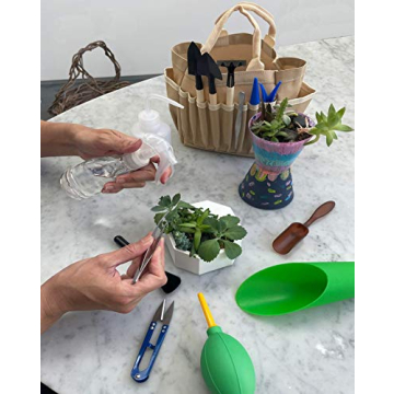 Premium Succulent Gardening Tool Kit with Organizer Bag
