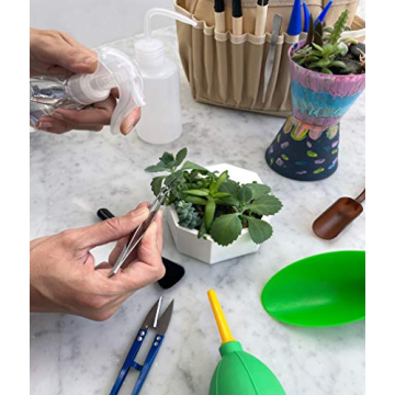 Premium Succulent Gardening Tool Kit with Organizer Bag