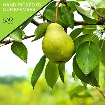 Healthy  Dried Pears - No Sugar Added Snack - NUT CRAVINGS