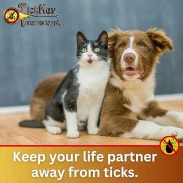 Effective Tick Key for Easy Tick Removal and Safety