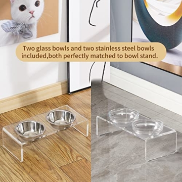 Stylish Acrylic Elevated Dog Cat Bowls Feeder Set