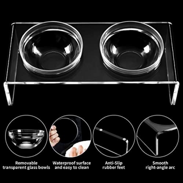 Stylish Acrylic Elevated Dog Cat Bowls Feeder Set