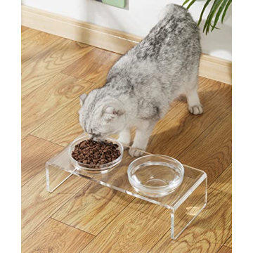 Stylish Acrylic Elevated Dog Cat Bowls Feeder Set