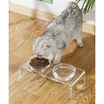 Stylish Acrylic Elevated Dog Cat Bowls Feeder Set