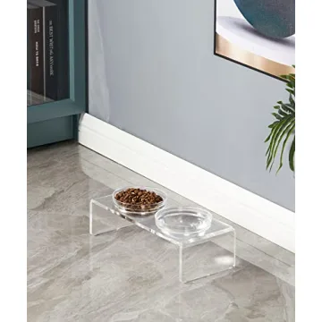 Stylish Acrylic Elevated Dog Cat Bowls Feeder Set