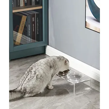 Stylish Acrylic Elevated Dog Cat Bowls Feeder Set