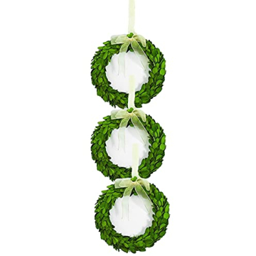 BOXWOOD VALLEY Boxwood Wreath Mini 6 inch Preserved Round Wreaths for Indoor Decor