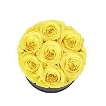 NATROSES Preserved Real Roses in a Box Roses That Last Up to 3 Years, Long Lasting Roses Gifts for Her, Valentines Day Gifts for Her (Yellow)