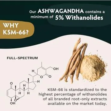 KSM-66 Ashwagandha for Stress Relief and Focus