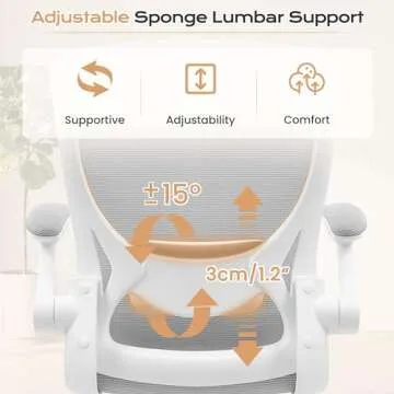 KERDOM Ergonomic Office Chair, Breathable Mesh Desk Chair, Lumbar Support Computer Chair with Wheels and Flip-up Arms, Swivel Task Chair, Adjustable Height Home Gaming Chair (LightGray)