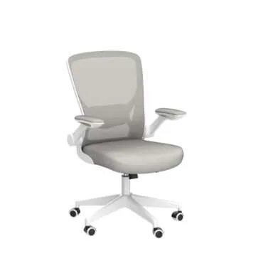 KERDOM Ergonomic Office Chair, Breathable Mesh Desk Chair, Lumbar Support Computer Chair with Wheels and Flip-up Arms, Swivel Task Chair, Adjustable Height Home Gaming Chair (LightGray)