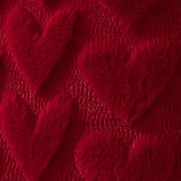 DFXSZ Valentines Pillow Covers 18x18 inch Set of 2 Valentines Day Decoration Red Heart Soft Plush Faux Fur Jacquard Throw Pillows for Bedroom Sofa Holiday Festivals Home Decor PTK019C18