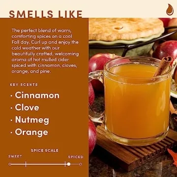 Mulled Cider Candle for Cozy Fall Scents in Home