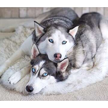 PupRug Orthopedic Dog Bed for Large Dogs with Luxurious Faux Fur and Memory Foam, Waterproof Couch B...