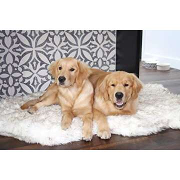 PupRug Orthopedic Dog Bed for Ultimate Comfort