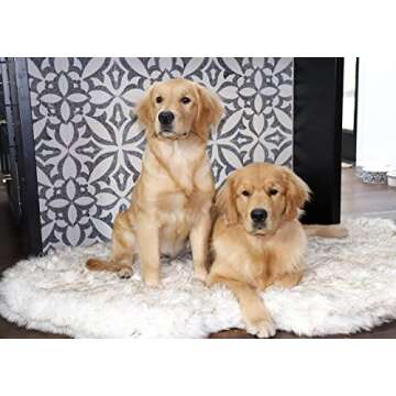 PupRug Orthopedic Dog Bed for Ultimate Comfort