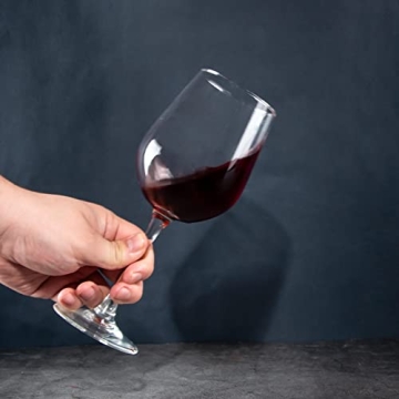 HAKEEMI Wine Glasses Set of 8 Durable 15.5 oz