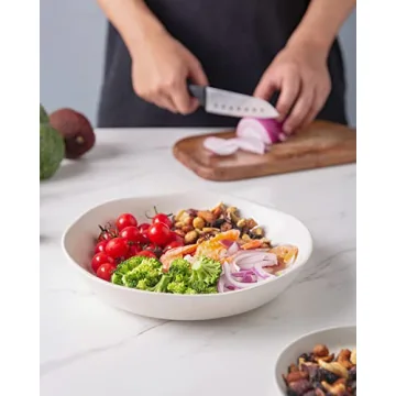 AmorArc Ceramic Pasta Bowls Set Elegant Durable Dishwasher Safe