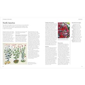 Encyclopedia of Herbal Medicine New Edition: 560 Herbs and Remedies for Common Ailments