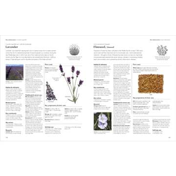 Encyclopedia of Herbal Medicine New Edition: 560 Herbs and Remedies for Common Ailments