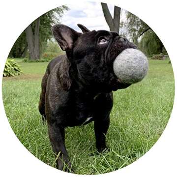 Creature ECO 100% Organic Wool Dog Balls 2-Pack - All Natural Large Dog Ball- Eco Friendly Wool Dog Toy - Safe for Your Pet & The Planet