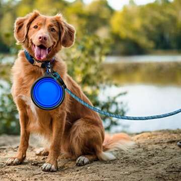 10/20/30 FT Training Dog Leash - Comfortable Padded Handle - Pet Dog Leash for Small Medium and Large Dogs with Collapsible Pet Bowl and Dog Garbage Bags