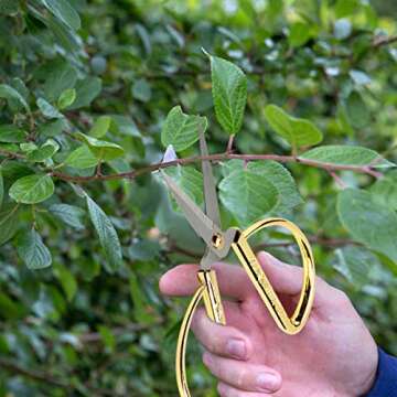 Wasan Chinoiserie Dragon and Phoenix Chinese Scissors - Stainless Steel and Gold Plated Tailor Scissors for Sewing, Household, Handicrafts, Bonsai, Kitchen