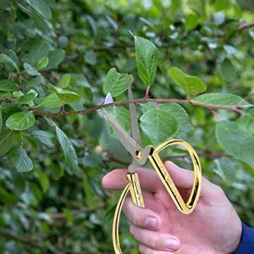 Wasan Chinoiserie Dragon and Phoenix Chinese Scissors - Stainless Steel and Gold Plated Tailor Scissors for Sewing, Household, Handicrafts, Bonsai, Kitchen