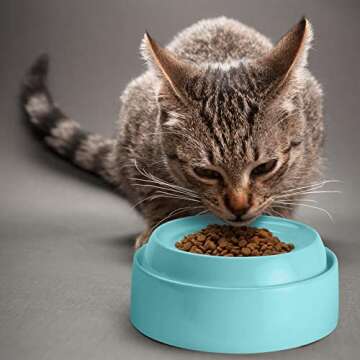 CatGuru Whisker Friendly Cat Bowls for Indoor Cats