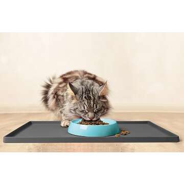 CatGuru Whisker Friendly Cat Bowls for Indoor Cats